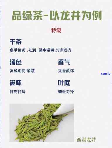 茶叶审评的湿评四因子，掌握茶叶审评的湿评四因子，提升品茶技能