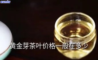 一款茶叶叫金什么？金什么芽，金什么茶叶价格查询！