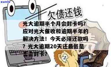 普洱茶饼价格大全：探索各种尺寸、年份和品质的茶叶饼的价格区间