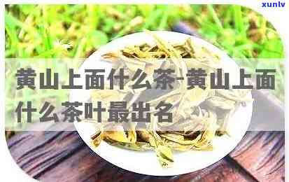 黄山茶叶插个黄牌子：品种、含义全解析