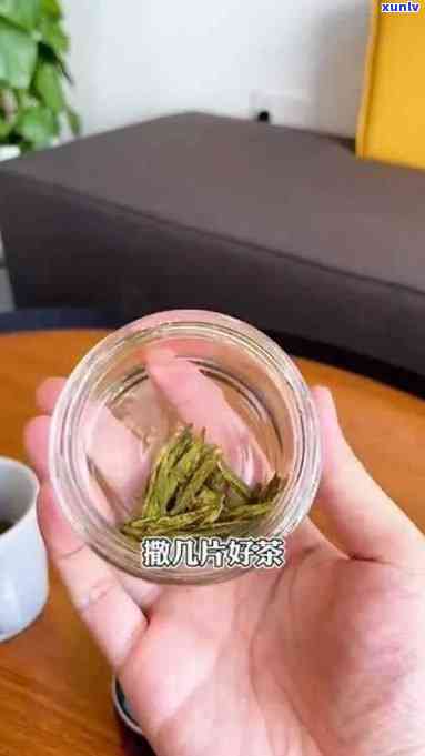 茶叶和水分离：玻璃杯中的科学原理与实现 *** 