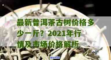 邦东古树茶2021年价格全揭秘，最新行情表及多少钱一斤一览