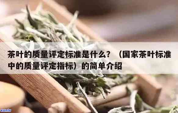 评判茶叶的四个标准-评判茶叶的四个标准是什么?