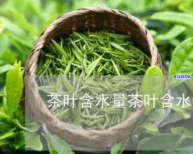 茶叶含水率标准-茶叶含水率标准是多少