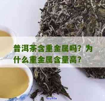 茶叶的重金属含量：超标问题与实际数值解析