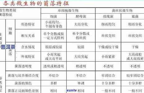 茶叶微生物检测标准：定义、内容与要求