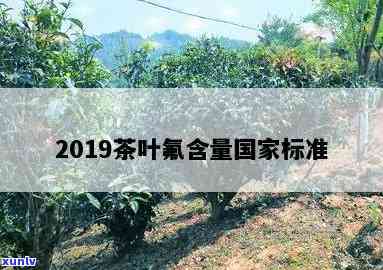 茶叶含氟量标准最新，最新茶叶含氟量标准解读