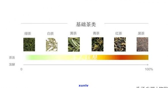 茶叶标准有标准吗，探究茶叶标准：是否存在标准？