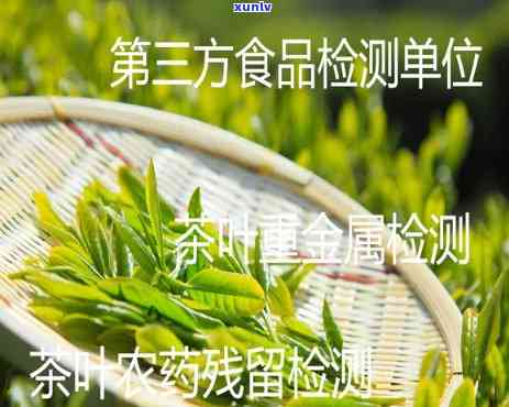 茶叶铅含量标准-茶叶铅含量标准是多少