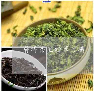 茶叶草膦含量标准-茶叶草膦含量标准是多少