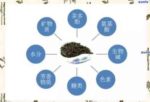 茶叶的药理研究现状论文，茶叶：药理研究现状与展望