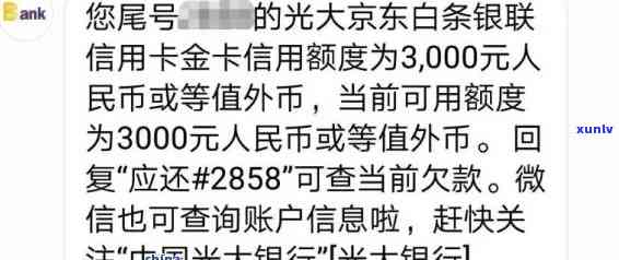 光大商务白金卡逾期解决  及费用减免可能性