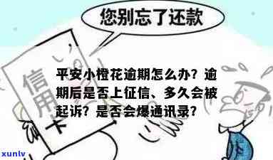 探究普洱茶对头发染色的独特影响：有效性、安全性与可能副作用