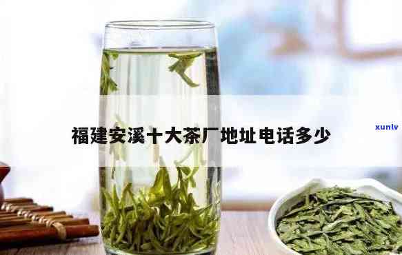 安溪县怡龙茶叶包装厂地址，安溪县怡龙茶叶包装厂详细地址揭晓！