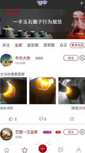 一站式购玉平台：买玉石app，专业卖玉石应用，您的私人玉石助手