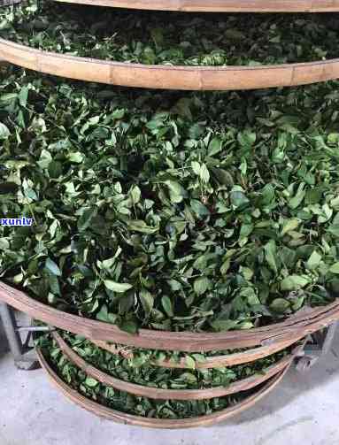 散茶叶怎样加工茶砖-散茶叶怎样加工茶砖视频