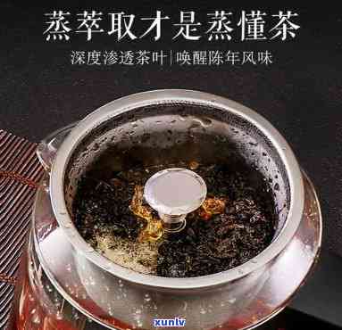 哪些茶叶用蒸茶器煮-哪些茶叶用蒸茶器煮好喝