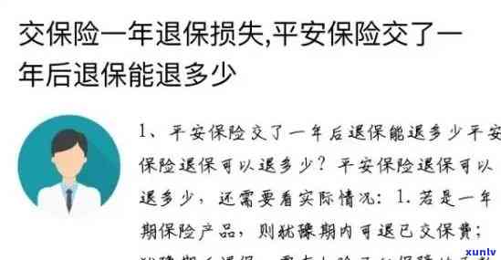 平安保险逾期未缴费：后果、解决办法全解析