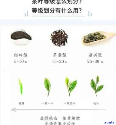 茶叶评分8.6分属于哪一级别？