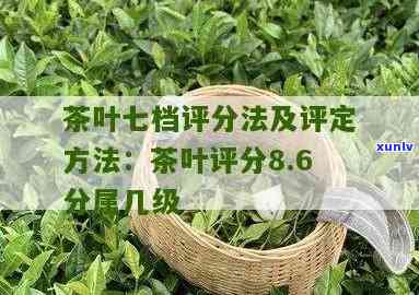 普洱茶包装纸不一样的原因及相关材质介绍：了解不同包装背后的设计考虑