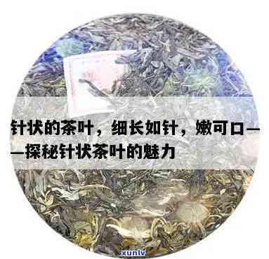 像一根针的茶叶，微细如针，品味独特：探索茶叶的新境界