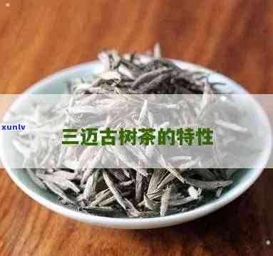 勐三迈古树茶特点-勐三迈古树茶的特性