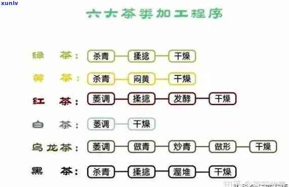 茶叶饮用阶划分：三个主要时期解析