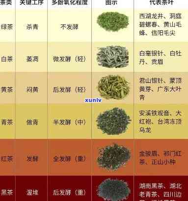 茶叶饮用分为哪三种-茶叶饮用分为哪三种类型