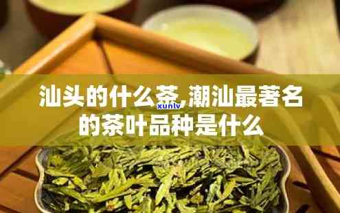 潮汕茶叶哪些品种好喝？推荐几款口感独特的佳品