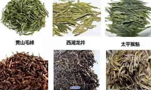 性茶叶有哪些品种名称，探秘性茶叶：了解其品种和名称