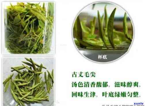 湖南茶叶品种大全：探索湖南丰富的茶文化