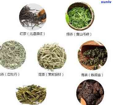 各种茶叶的代表品种图片，探索茶的世界：各种茶叶代表品种图片大