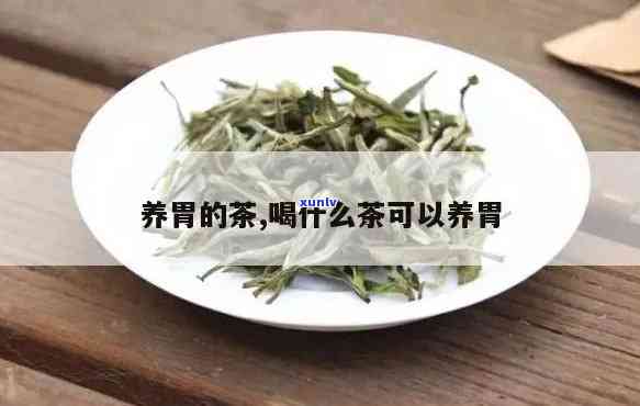 最养胃的茶叶是哪种茶叶，寻找养胃的选择：哪种茶叶最适合你？