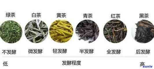 茶叶品种有哪些品种名称，探索茶叶世界：熟悉常见的茶叶品种名称