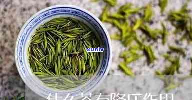 降压的茶叶有哪几种图片，图解：降压的茶叶种类有哪些？