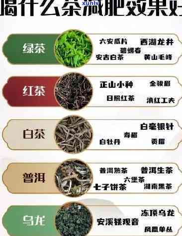 减肥的茶叶排行榜：揭秘减肥茶品种