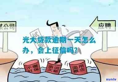 飘花翡翠种类大全：包括品种、图片及详细介绍