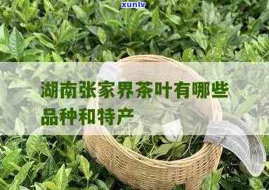 张家界的茶叶有几种-张家界的茶叶有几种