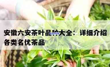 三河地区优质普洱茶 *** 公司汇总