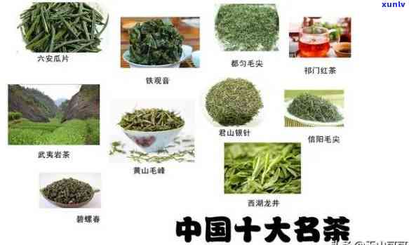 六安的茶叶有多少种-六安的茶叶有多少种名字