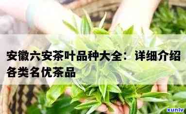 六安的茶叶有多少种-六安的茶叶有多少种名字