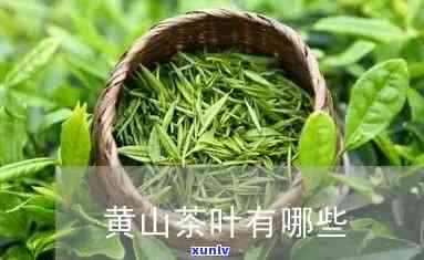 黄山的茶叶有哪几种-黄山的茶叶有哪几种类型