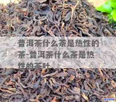 热性的茶叶有哪几种-热性的茶叶有哪几种茶