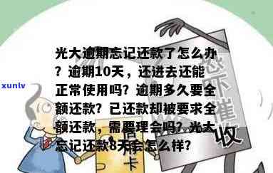 裕老班章普洱茶，品味历与自然的交融：裕老班章普洱茶的魅力探究