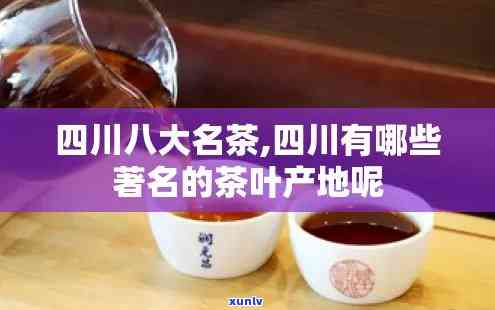 云南冰岛七子饼茶价格：从2012年到现在的变化及详细介绍