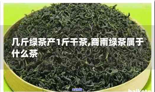 商南茶叶有哪些品种-商南泉茗茶属于什么茶