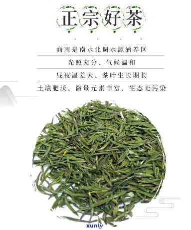 商南茶叶有哪些品种-商南泉茗茶属于什么茶