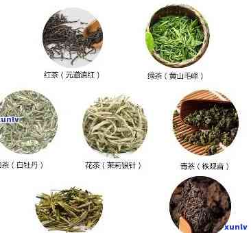 最减肥的茶叶种类图片全览