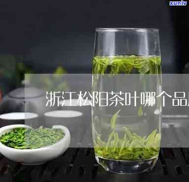 松阳最有名的茶叶是什么？探究松阳特产茶叶