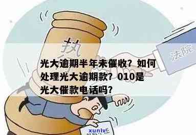 蓝水冰糯种翡翠：品质、档次与价格的综合分析，如何选购与保养？